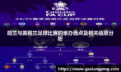 荷兰与英格兰足球比赛的举办地点及相关信息分析